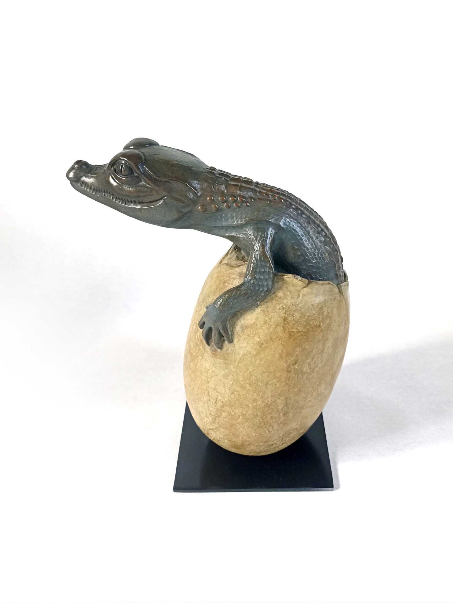 Naissance d'un Caîman